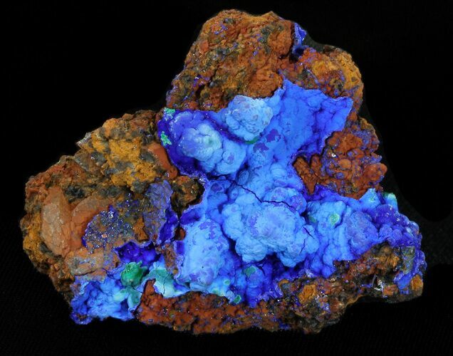 Very Vibrant Botryoidal Azurite Specimen #38558